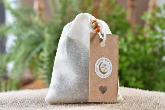 The Spider — The World Weaver Familiar Pouch by Yarrow Moon.