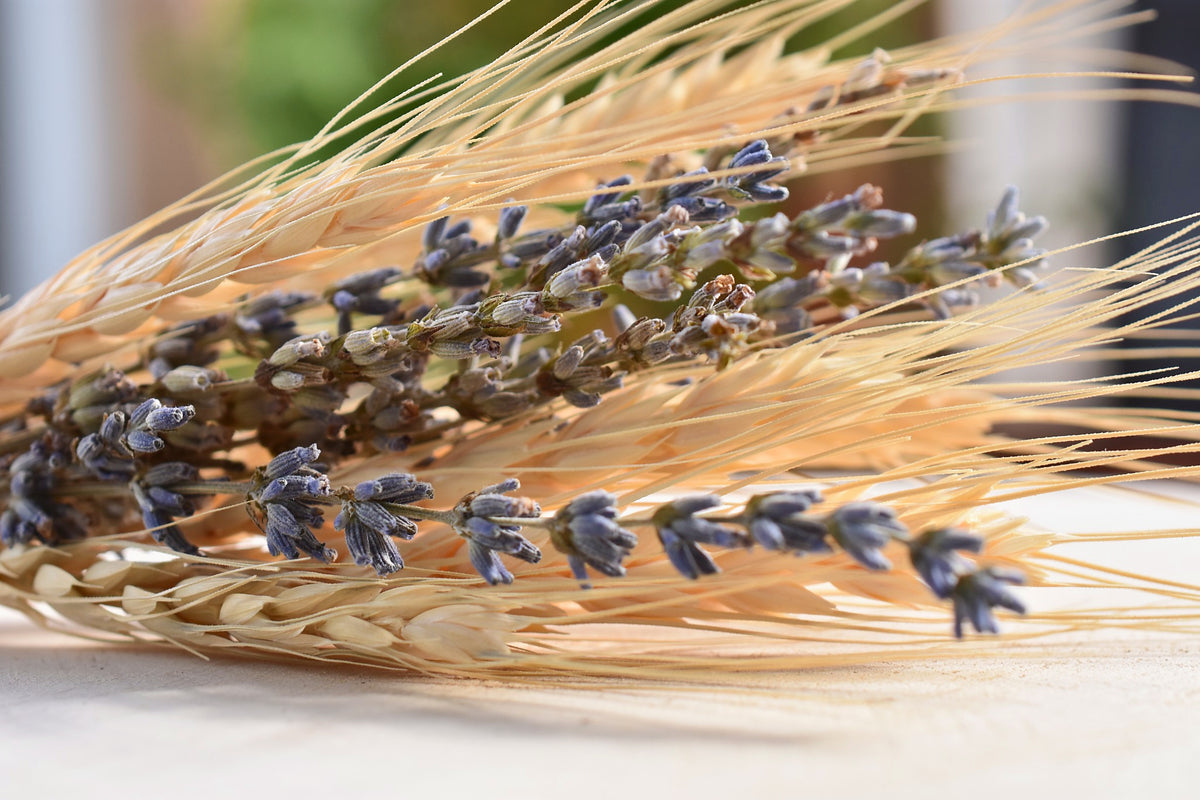 Close-up detail of the Wellspring lavender and wheat steam bundle.