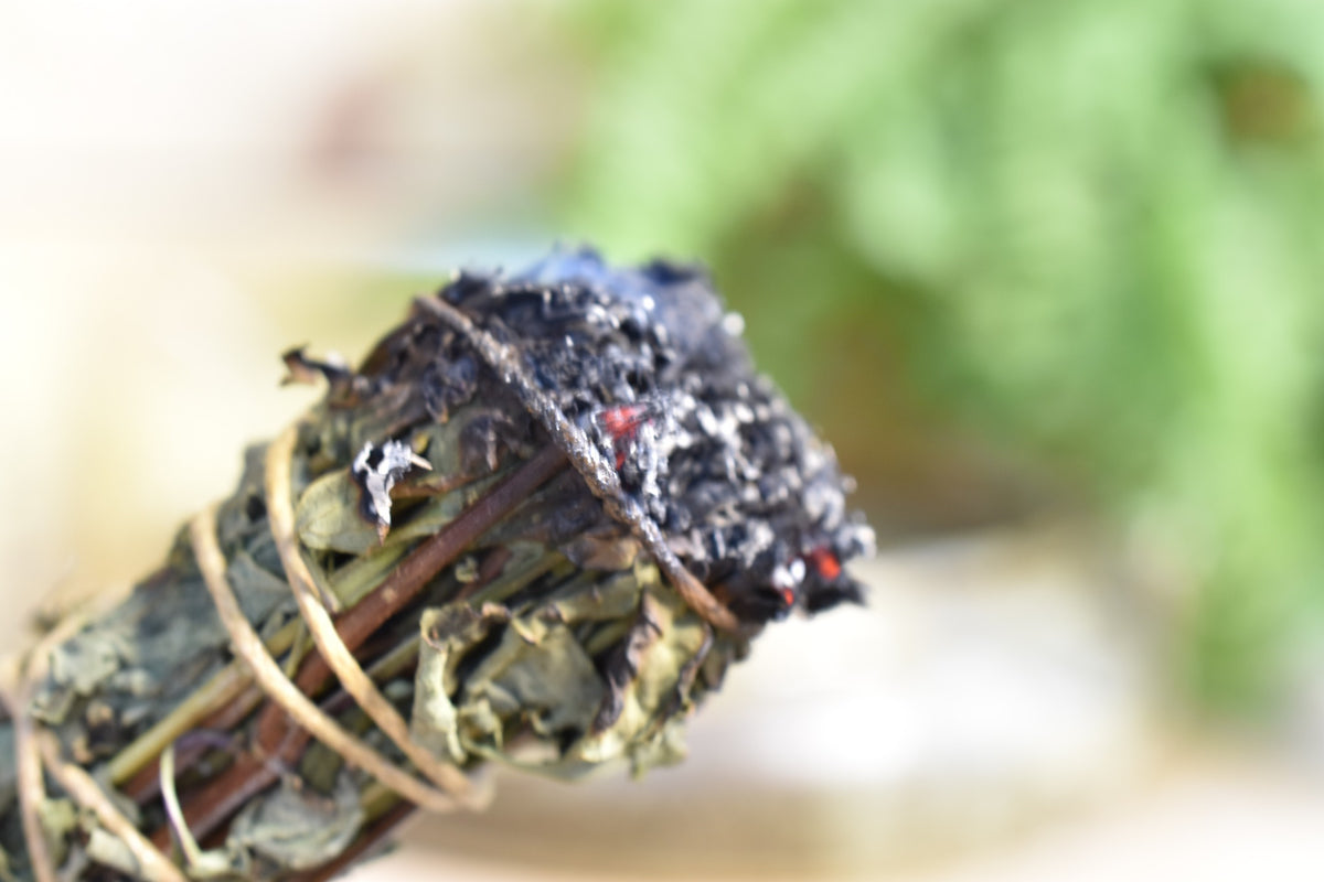 Close-up detail of the burned Baby Sage botanicals in the Joyful Purification Wand
