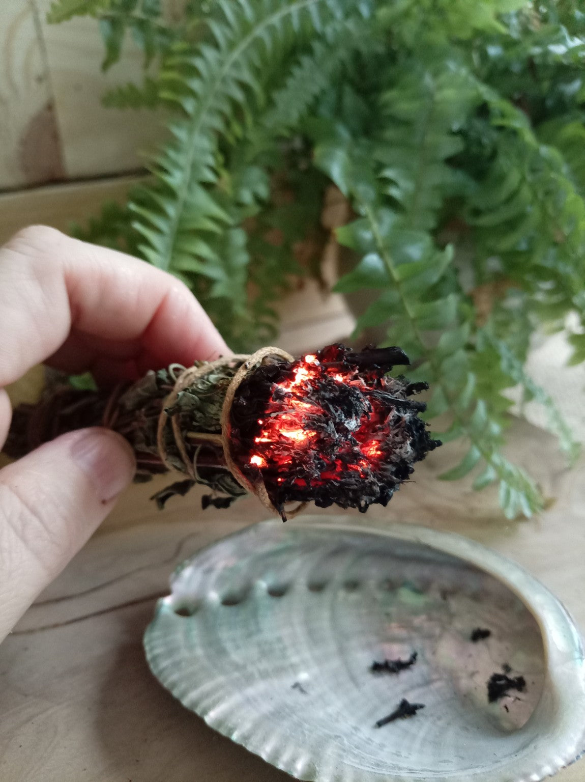 Glowing ember on a garden-grown Baby Sage smoke cleansing wand