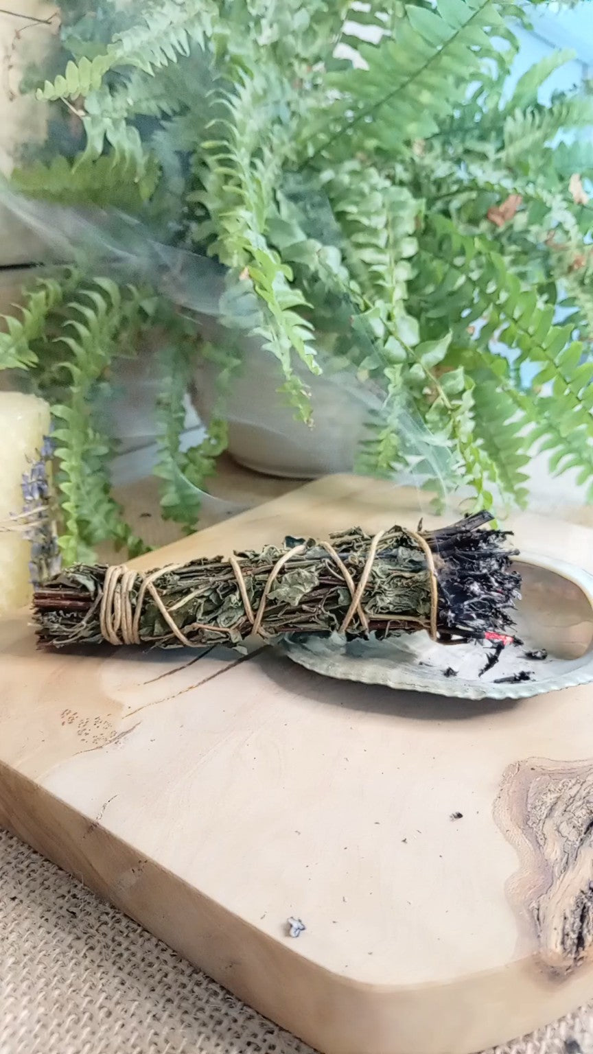 Baby Sage smoke cleansing wand burning over a shell with visible smoke